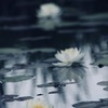 時が止まった朝