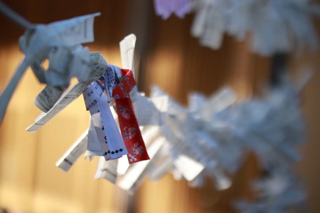 新年の風を受けて