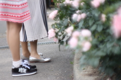 午後は薔薇園へ