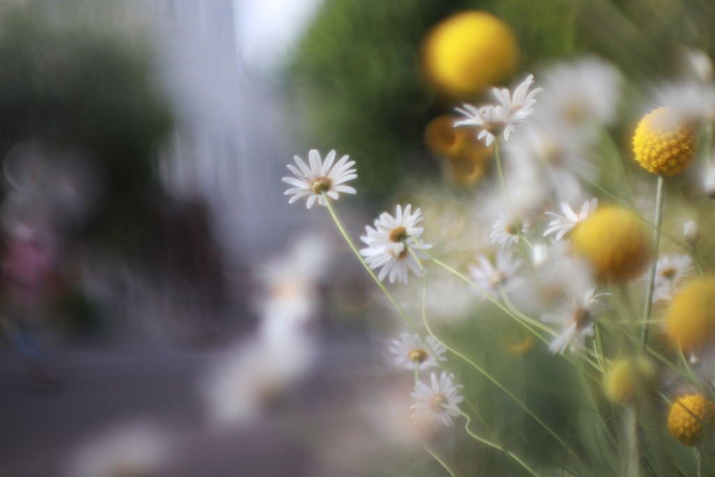 優しく迎えてくれた