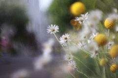 優しく迎えてくれた