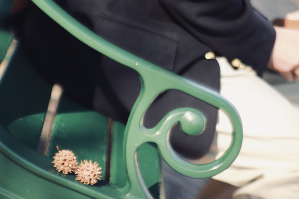 穏やかなひととき