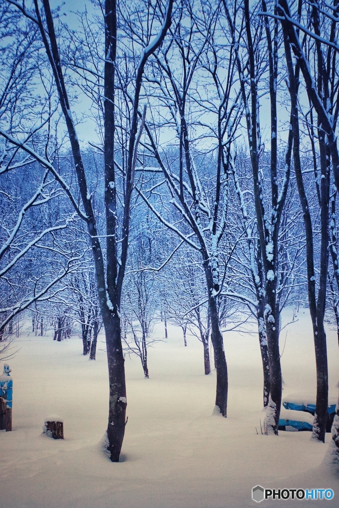 雪の中で君に逢えた朝