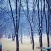 雪の中で君に逢えた朝