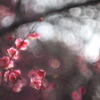 461C8840-FD19-4B94-9AE3-EB064CE40B91