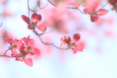 あの日の空