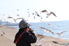 君に逢いに行ったよ
