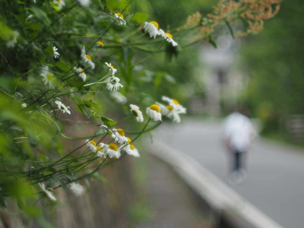 街photo  ② あの日の記憶