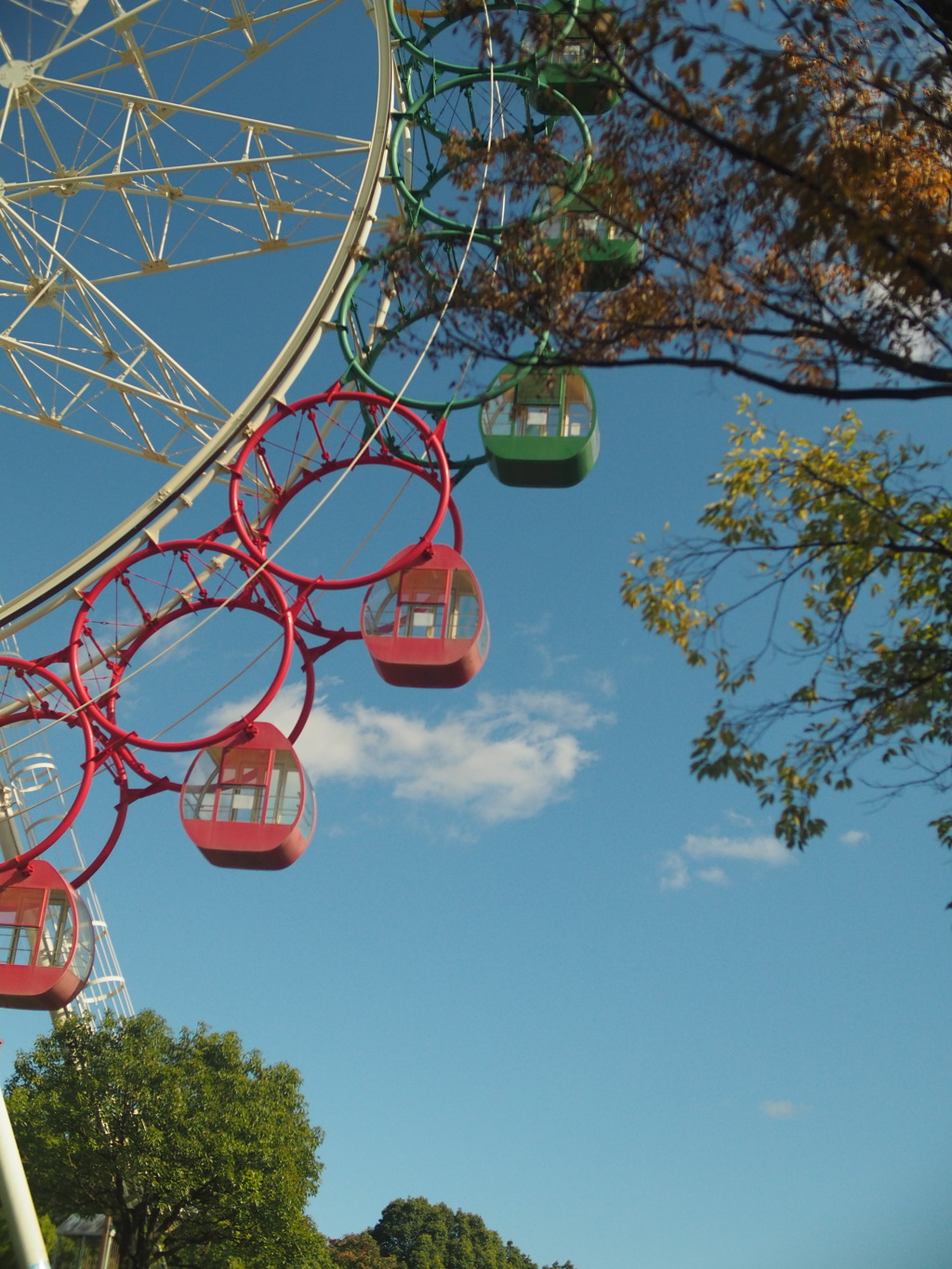 青空を見上げて