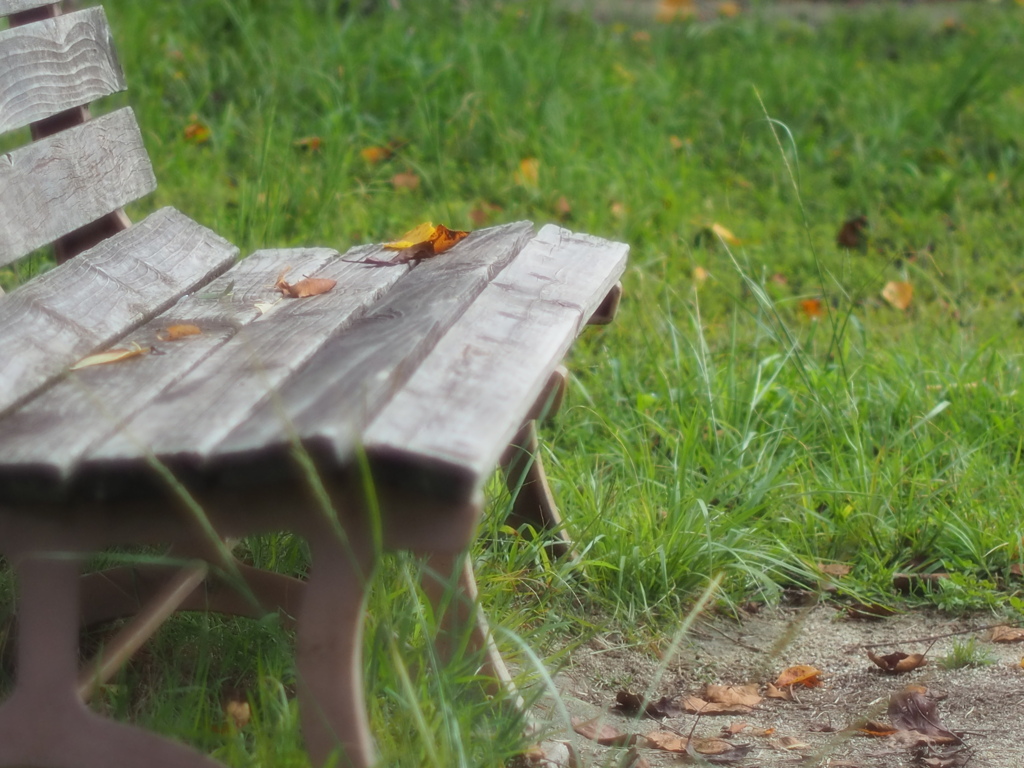 此処で秋を待つ