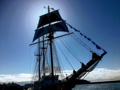 光を背に受けて