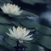 そっと待つ