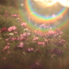 29F39D05-8F62-4F43-B878-57BFD6C3C4C9