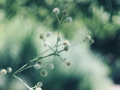 グラデーション