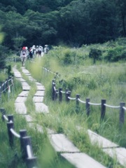 回顧録　❺