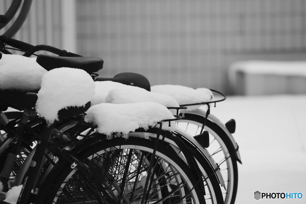 雪積もる北大