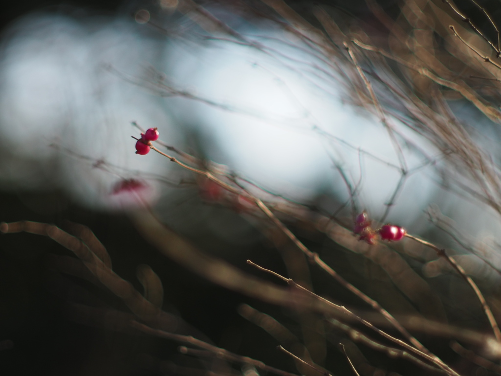 ささやかな幸せ