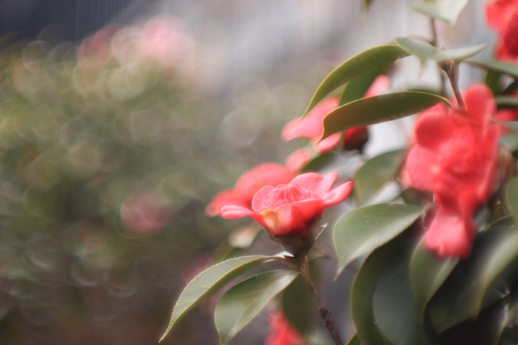 846D0031-F525-453B-B0DC-37626D089DF1