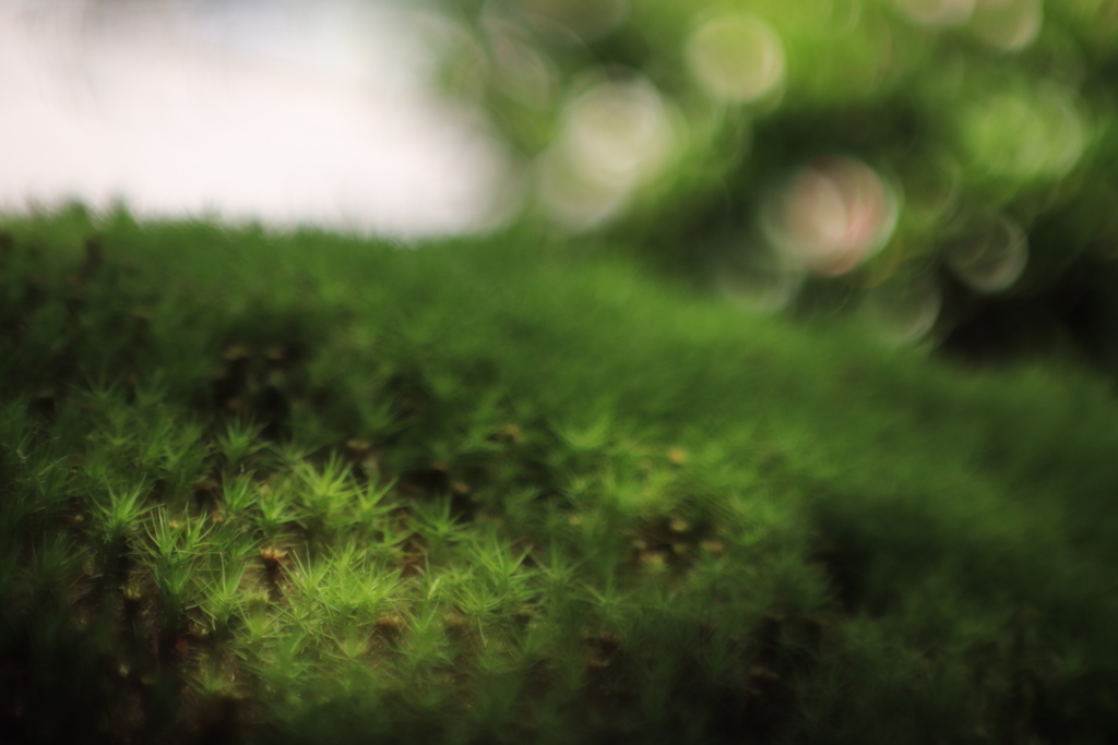 B85D4D1F-1601-4716-9E80-E64F00227683