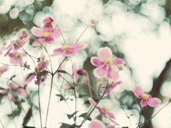 神様は見てるから