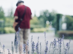 束の間のhealing time