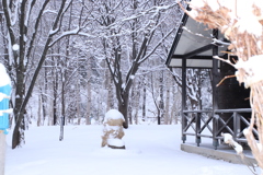 待つ時間も ワクワク