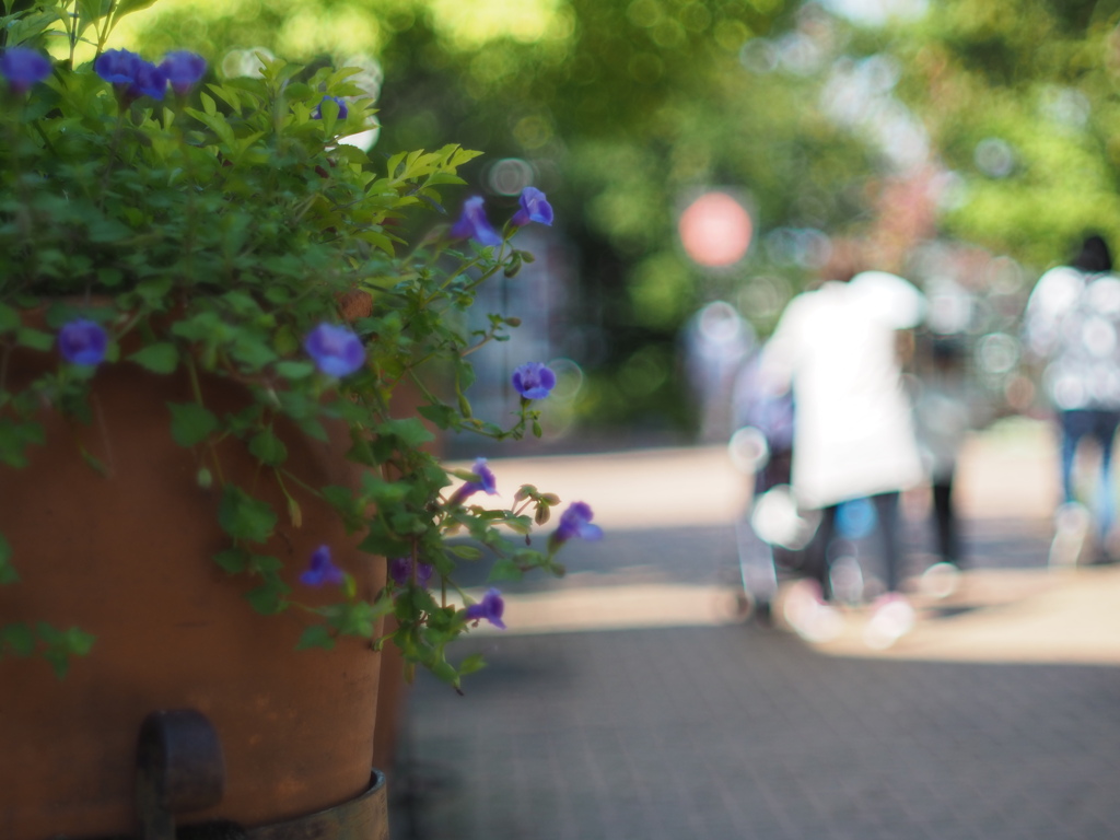 ささやかな幸せ