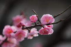 時はゆく