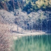 此処に来てよかった