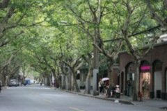 street photo 2 上海