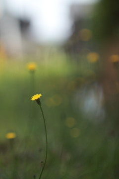 めげずに生きること