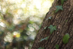 4ADFCE1E-0ECD-400C-90FF-714B91AE0754