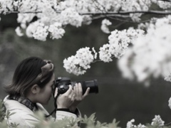 あの日の午後　ーカメラ女子ー