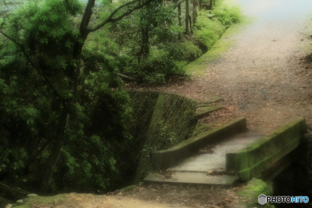 癒しは greenと水