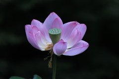 8F962510-8A97-4704-88FF-B3FA196027B3