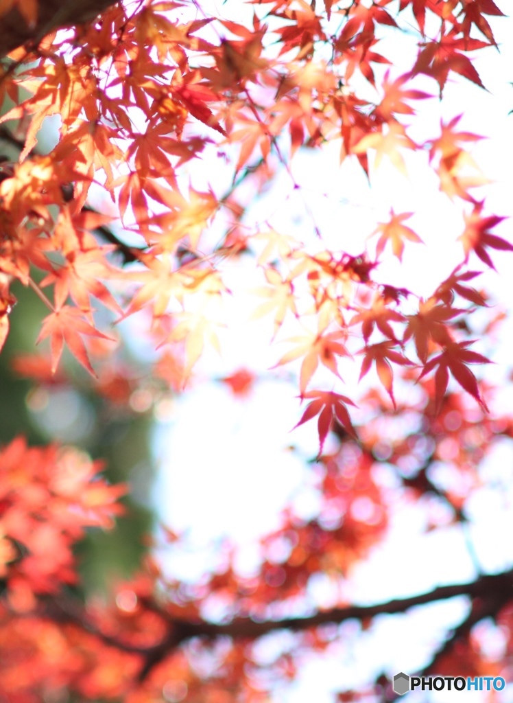 0387E846-E661-46ED-B2AD-75A972DDC874