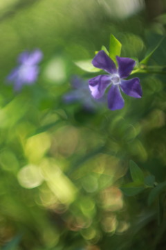 隣には貴女が居る