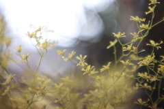 写真のありがたさ
