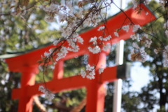 待ち時間の出逢い