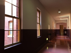 空間の癒しに浸る