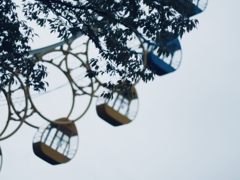 雨の公園の静けさ