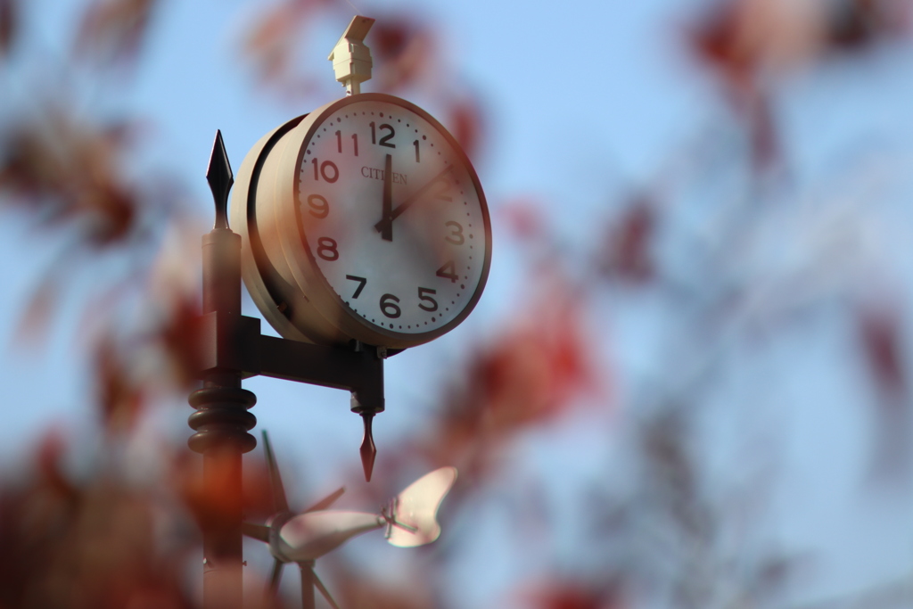 テラス席が好き