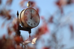 テラス席が好き