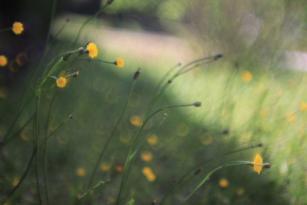 ひと時の。。。