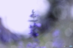 日常を離れ。。。