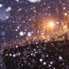 雪が降り出した @小樽築港