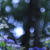 25B65E33-FF92-48D1-91BF-95A6EC0D64A4