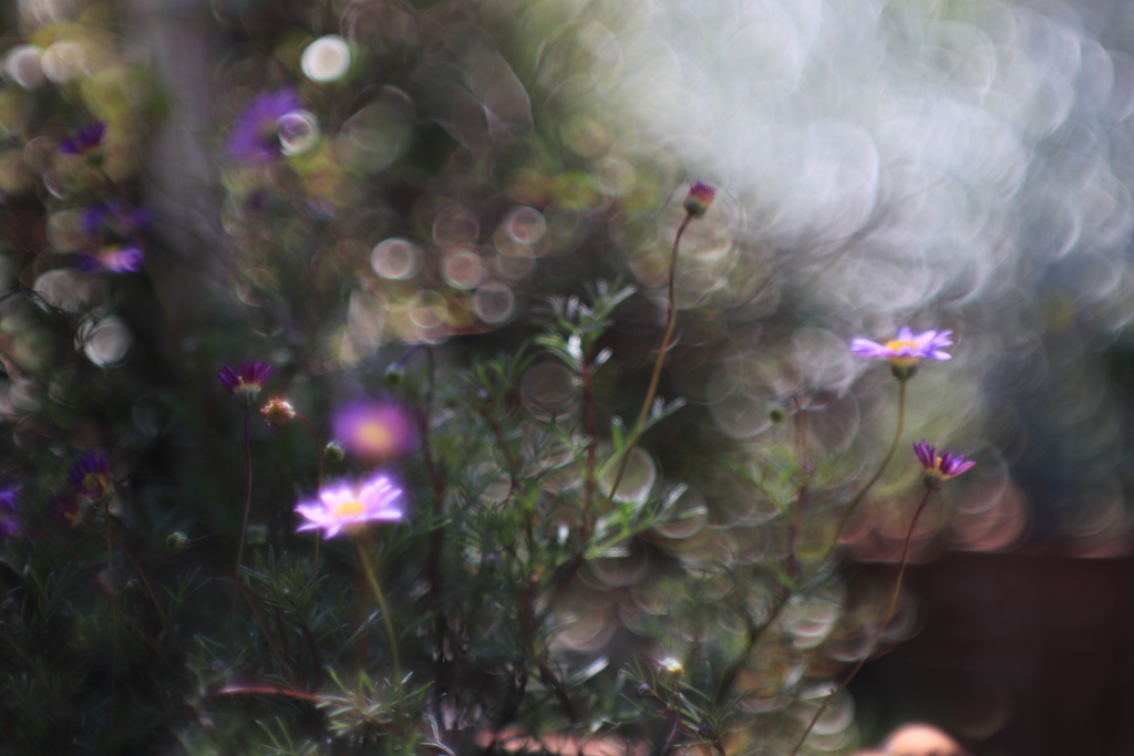 想いを伝えたい