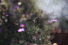 想いを伝えたい