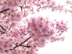 58D02D30-B372-4AE2-8381-C27221F06FB2